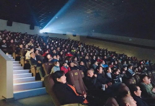 剛剛發布 安陸這些場所即將恢復開放,時間就在